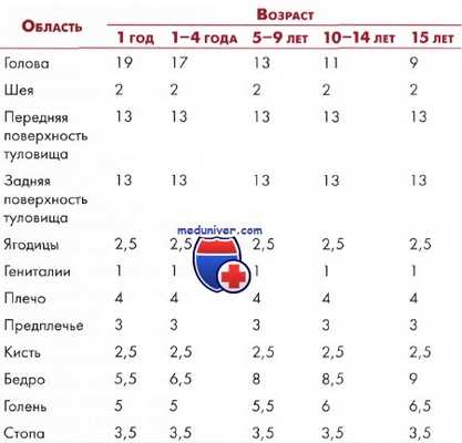 определение площади ожога