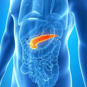 узи поджелудочной железы