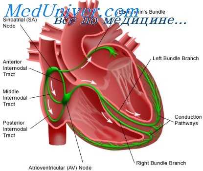 непрямой метод фика