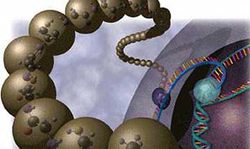 Фото Ожирение