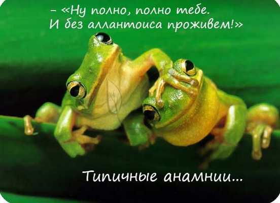 Анамнии
