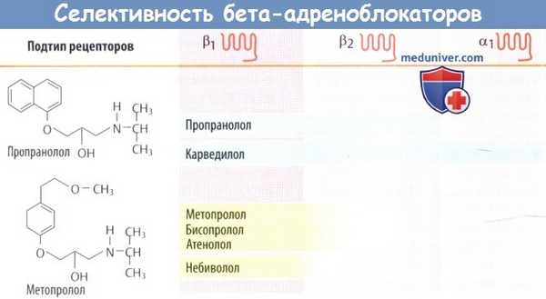 Селективность бета-адреноблокаторов