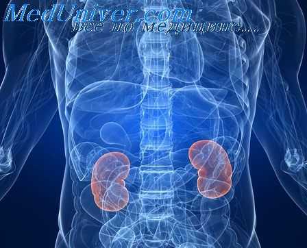 пальпация почки