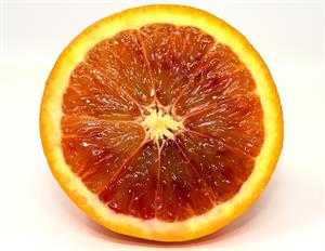 blood-orange-3418376_640.jpg