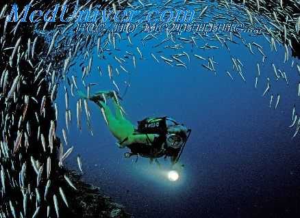 признаки остеонекроза