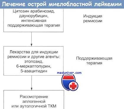 Лечение острой миелобластной лейкемии
