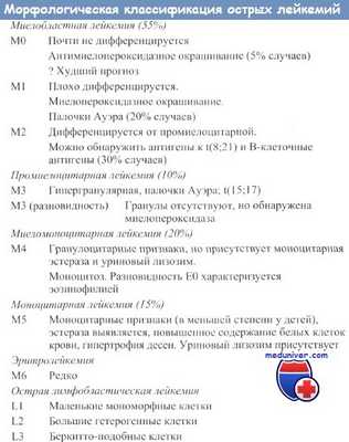 Морфологическая классификация острых лейкемий