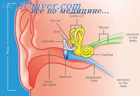 токсичные для ушей лекарства