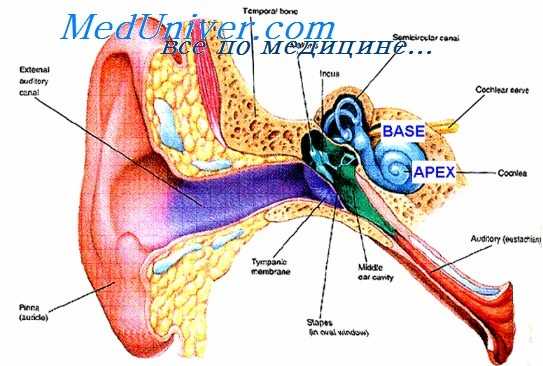 болезнь меньера