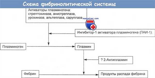 Схема фибринолитической системы