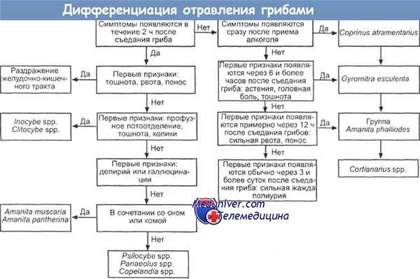 Дифференциация отравления грибами