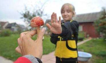 Признаки и первая помощь при отравлении грибами