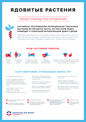 otravlenie-yadovitymi-rasteniyami-1.png