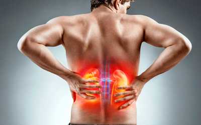 Белковая дистрофия почек - Веримед