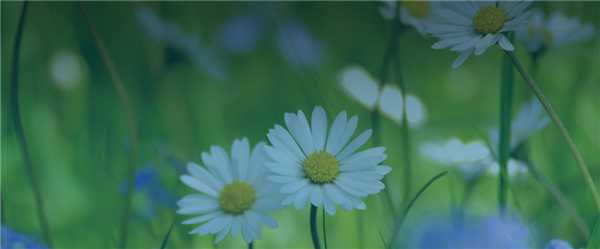 помощь при откравлении