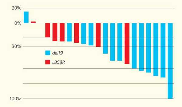 Рис. 5. Снижение размеров опухолевых очагов (%) в ответ на применение EGFR-ингибитора у пациентов с активирующими мутациями в гене («Природа» №6, 2018)