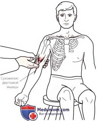 Пальпация локтевого сустава спереди