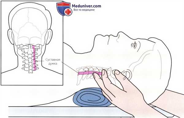 Пальпация костных структур шейного и грудного отделов позвоночника сзади
