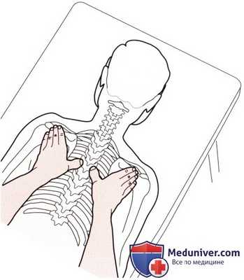 Пальпация костных структур шейного и грудного отделов позвоночника сзади