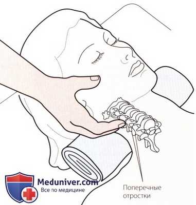 Пальпация костных структур шейного и грудного отделов позвоночника сзади