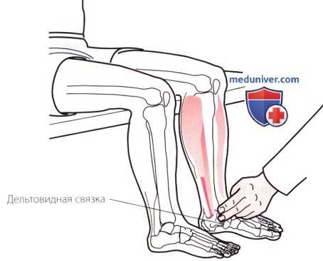 Пальпация голеностопного сустава и стопы с внутренней стороны (медиальной)