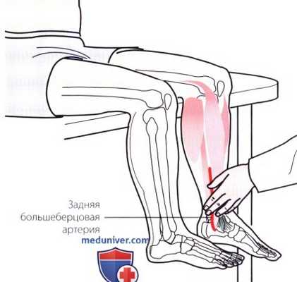 Пальпация голеностопного сустава и стопы с внутренней стороны (медиальной)