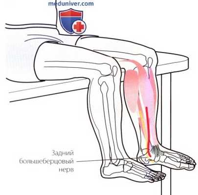 Пальпация голеностопного сустава и стопы с внутренней стороны (медиальной)