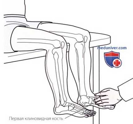 Пальпация голеностопного сустава и стопы с внутренней стороны (медиальной)