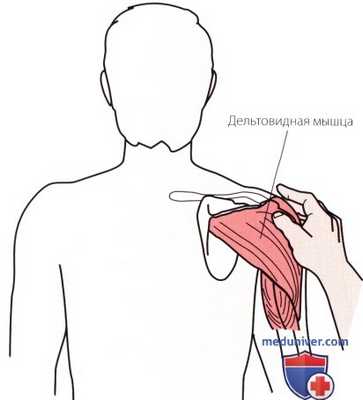 Пальпация плечевого сустава спереди