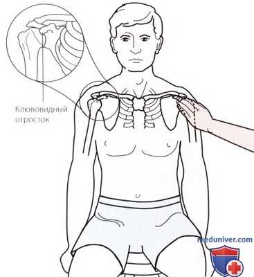 Пальпация плечевого сустава спереди