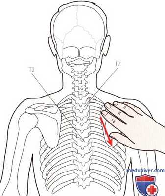 Пальпация плечевого сустава сзади