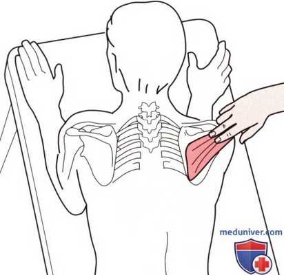 Пальпация плечевого сустава с латеральной стороны
