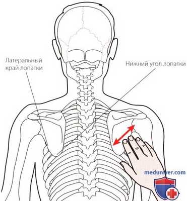 Пальпация плечевого сустава сзади