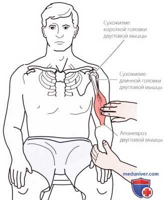 Пальпация плечевого сустава спереди