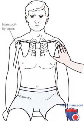 Пальпация плечевого сустава спереди