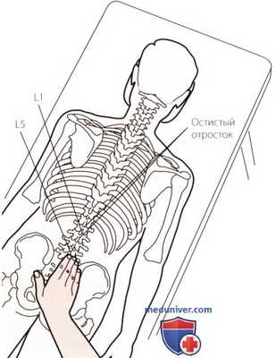 Пальпация костей пояснично-крестцового отдела позвоночника сзади
