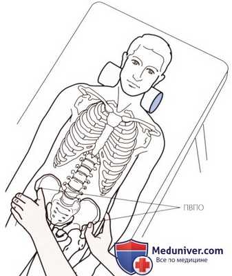 Пальпация пояснично-крестцового отдела позвоночника спереди