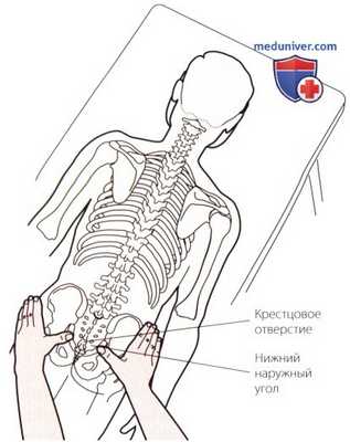 Пальпация костей пояснично-крестцового отдела позвоночника сзади