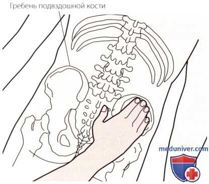 Пальпация костей пояснично-крестцового отдела позвоночника сзади