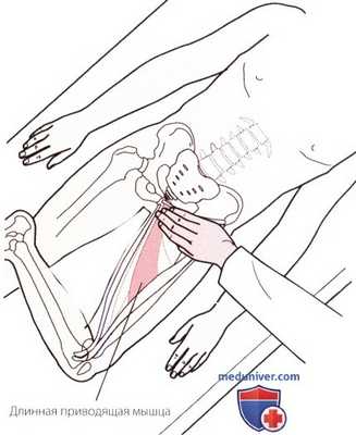 Пальпация тазобедренного сустава спереди