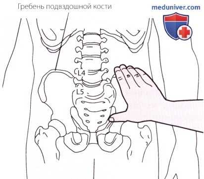 Пальпация тазобедренного сустава спереди