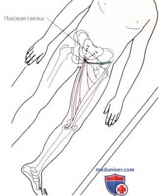 Пальпация тазобедренного сустава спереди