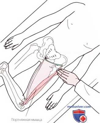 Пальпация тазобедренного сустава спереди