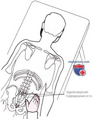 Пальпация тазобедренного сустава сзади лежа на животе