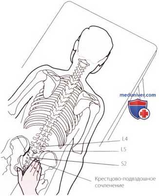 Пальпация тазобедренного сустава сзади лежа на животе