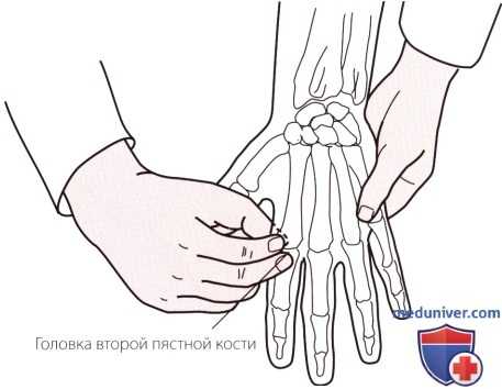 Пальпация запястья и кисти сзади (тыла)