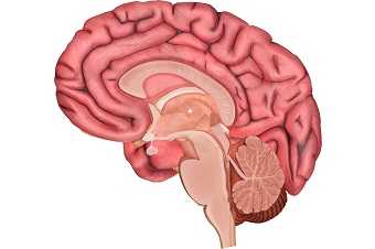Скворцова Ольга Викторовна, детский эндокринолог - Самара