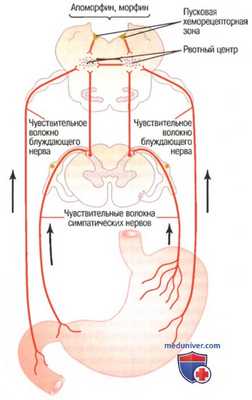 Рвота и ее причины