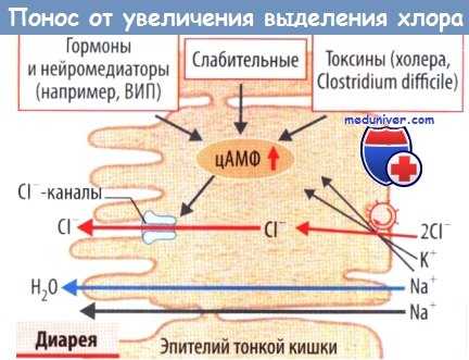 Диареия от мальабсорбции