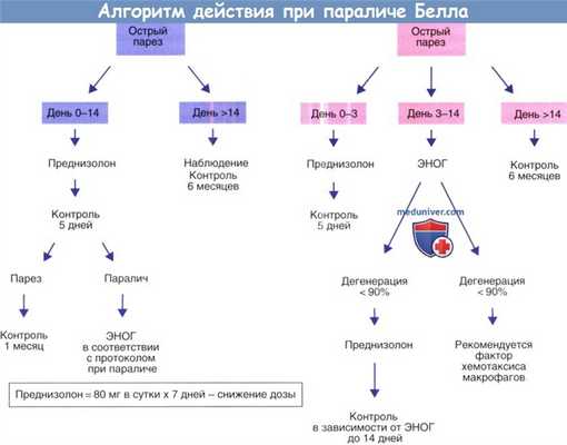 Алгоритм действия при параличе Белла